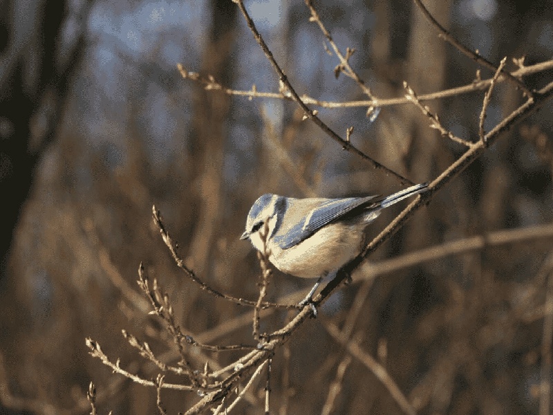 武汉惜缘试管代生机构:怀二胎孕吐反应特大,和孕妇自身以及胎儿都有关